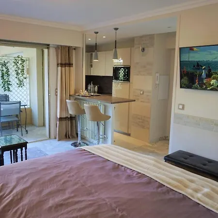 Apartment Center Next To Croisette And Rue D'antibes Cannes