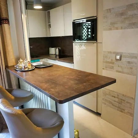 Center Next To Croisette And Rue D'antibes Apartment Cannes